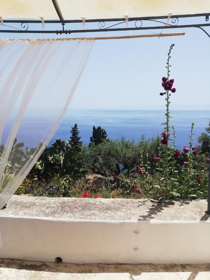 Alicudi Giardino Dei Carrubi- Al Gradino 365 Bed & Breakfast Eksteriør bilde